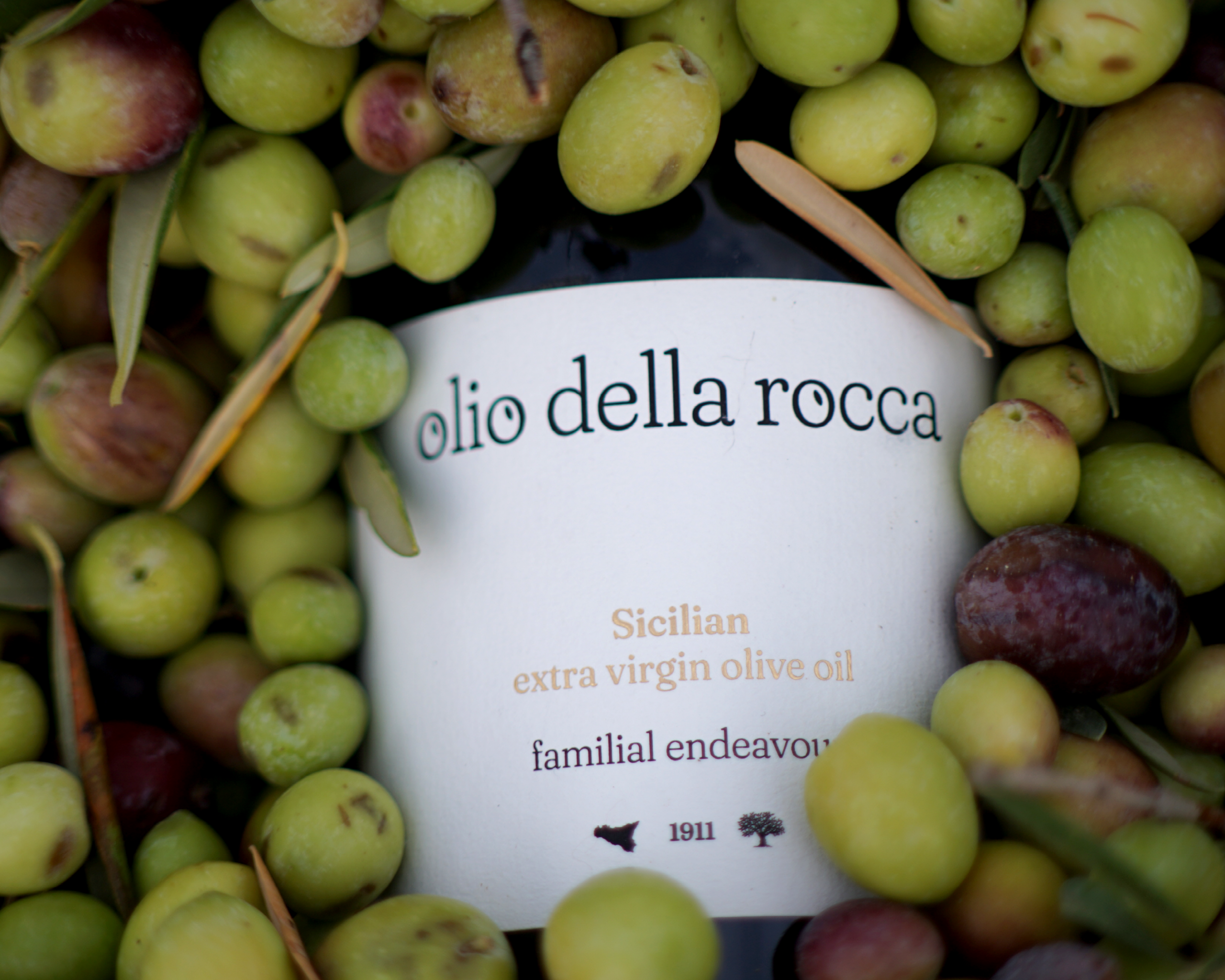 Olio della rocca