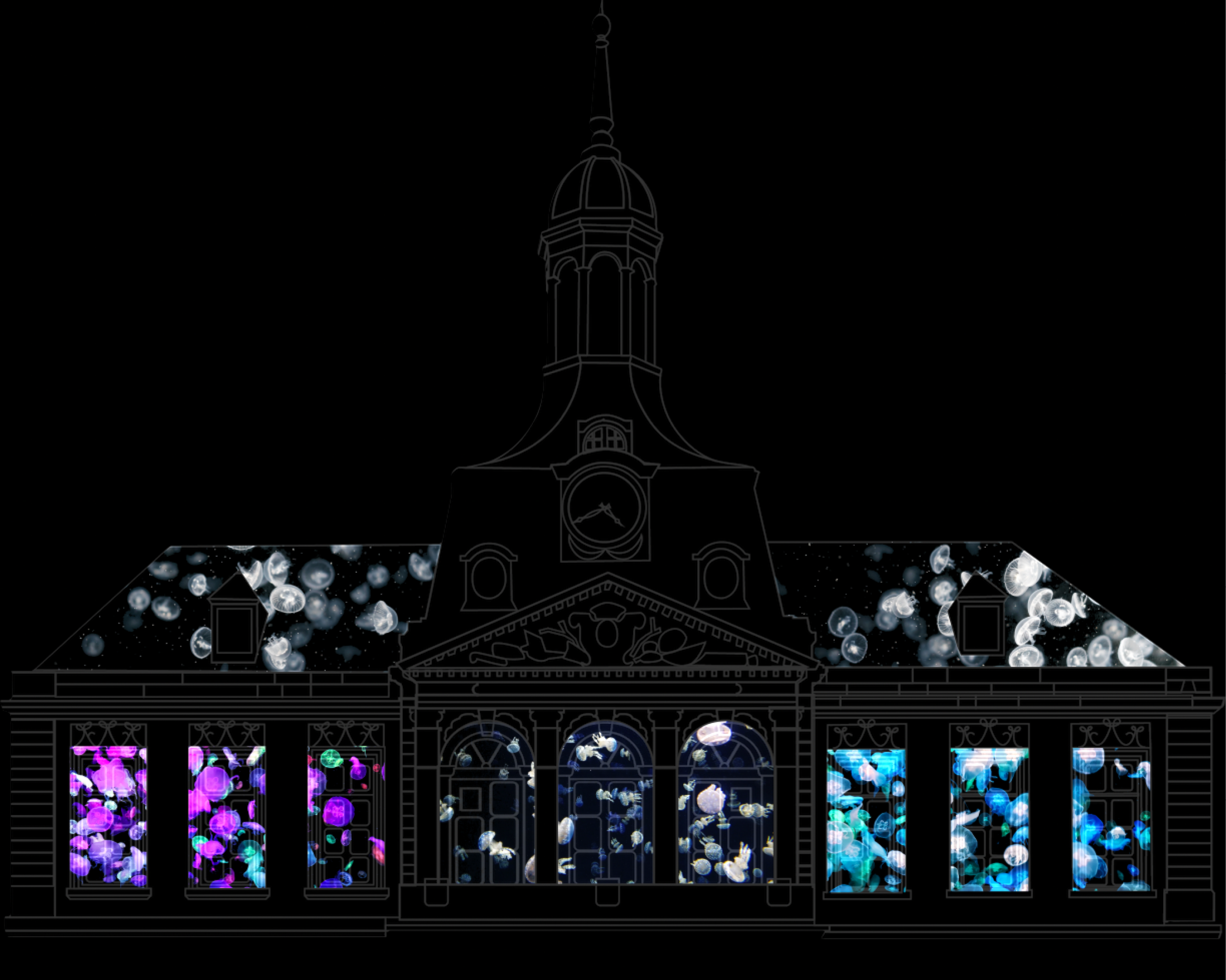 Mapping on Chaumont Town Hall