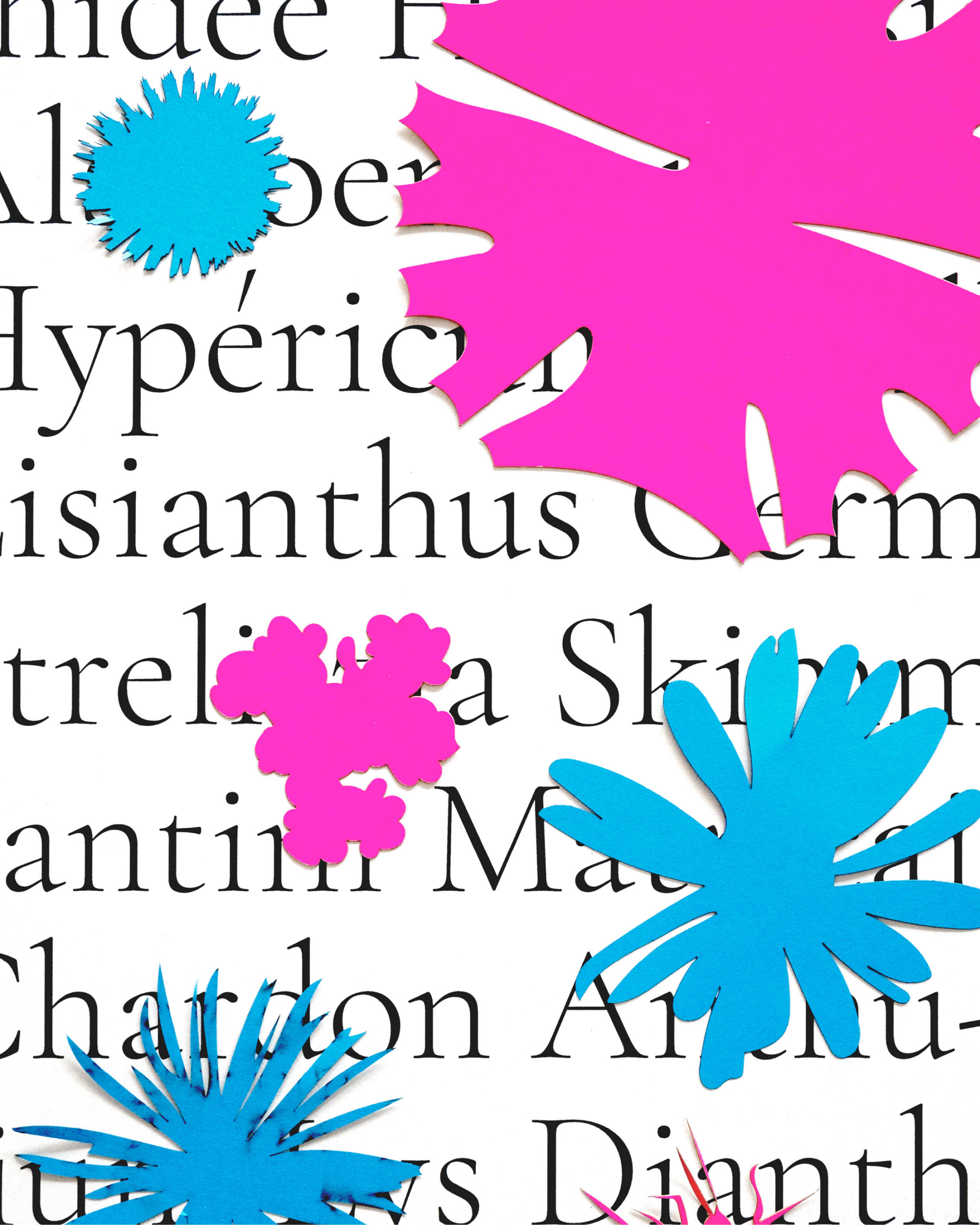 Herbarium lux et picturare