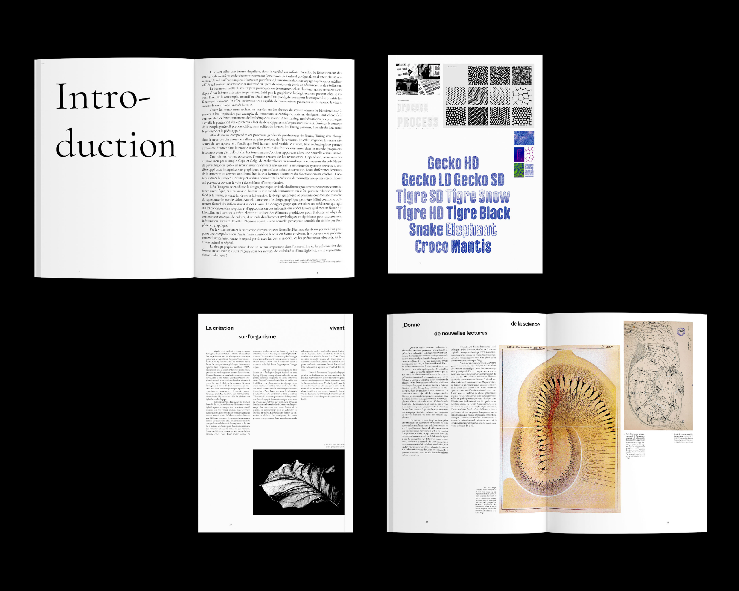 Visual structures of living things