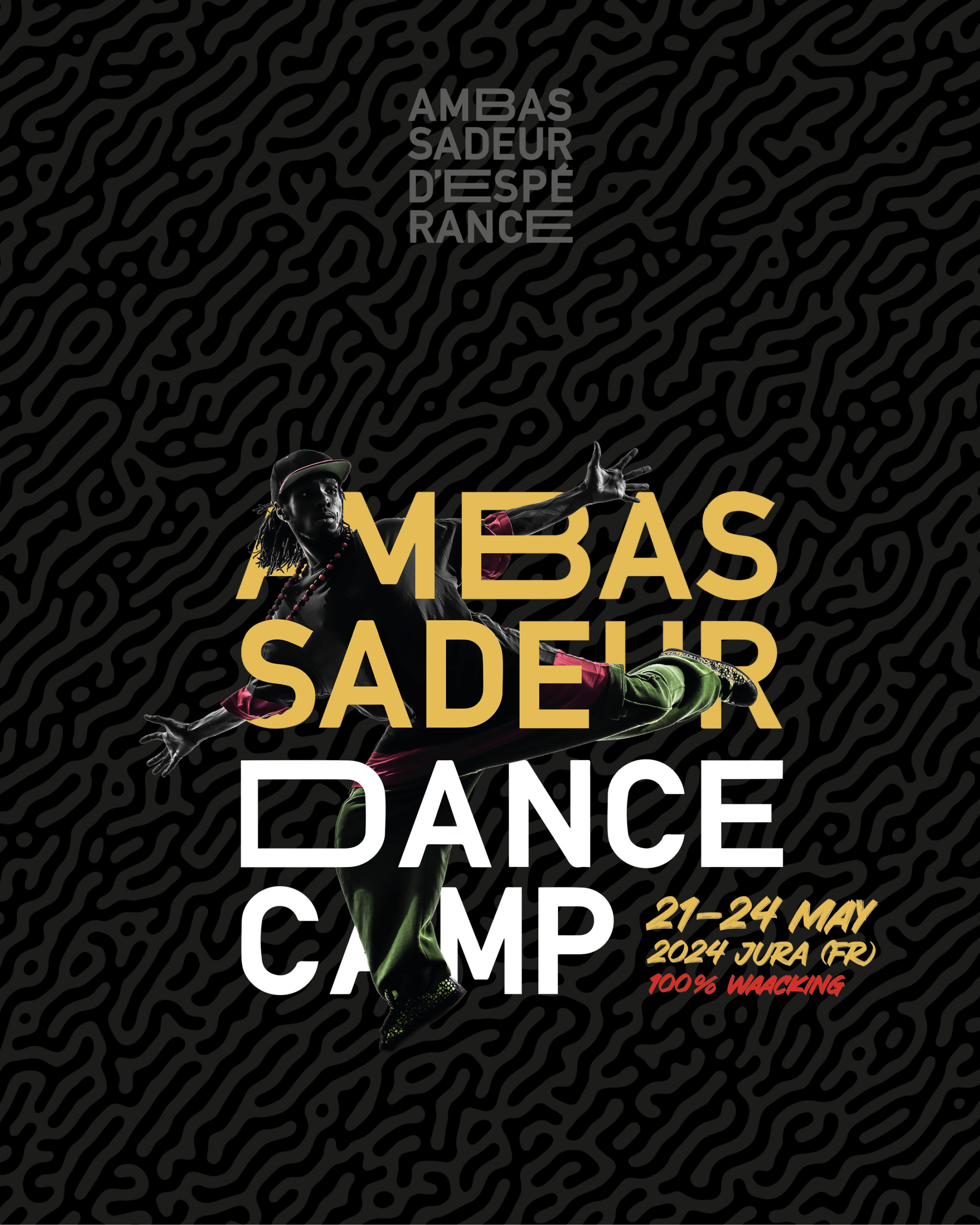 Ambassadeur dance camp